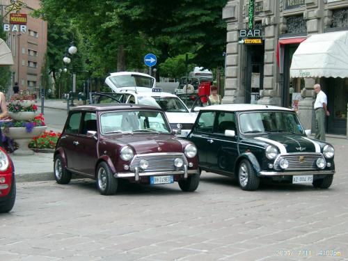 minialle terme 057